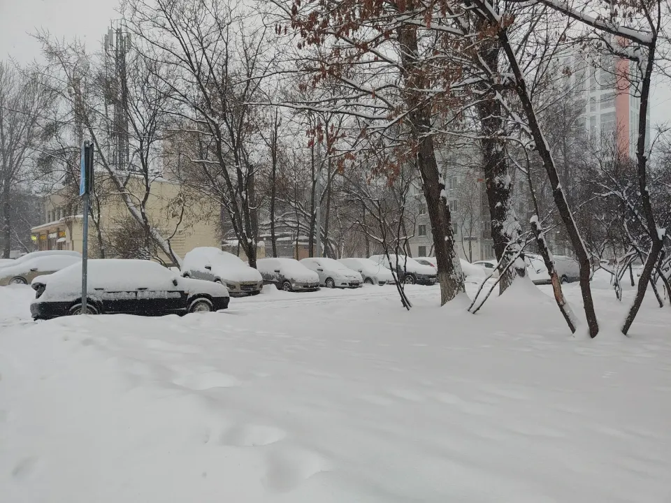 落叶树下被雪覆盖的汽车